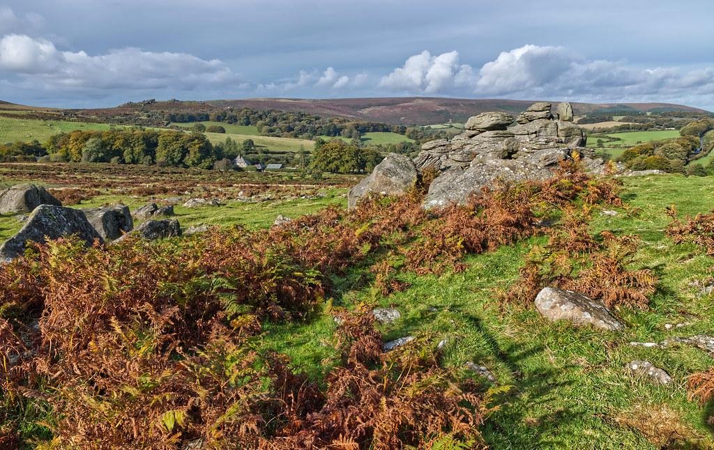Whisk Away to Dartmoor: The Ultimate Bedtime Story