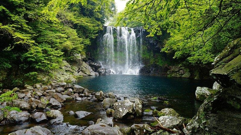 Connecting with Nature through Mindfulness