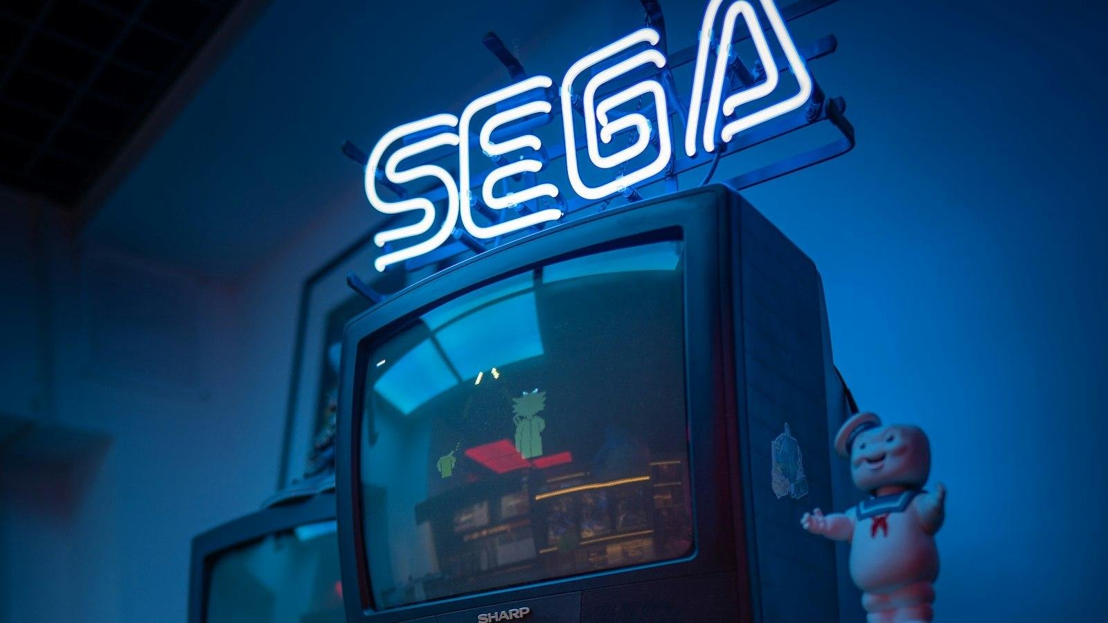 Introduction to SEGA's History