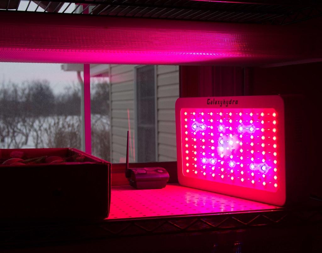 Selecting the Right LED Grow Lights for Your Indoor Garden