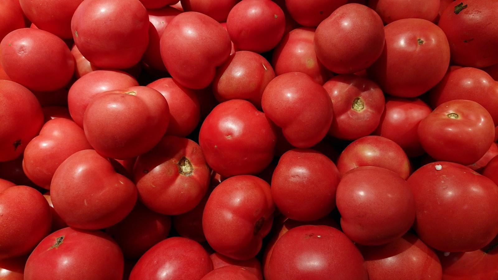 - Selecting the Perfect Tomato Varieties for Your Garden