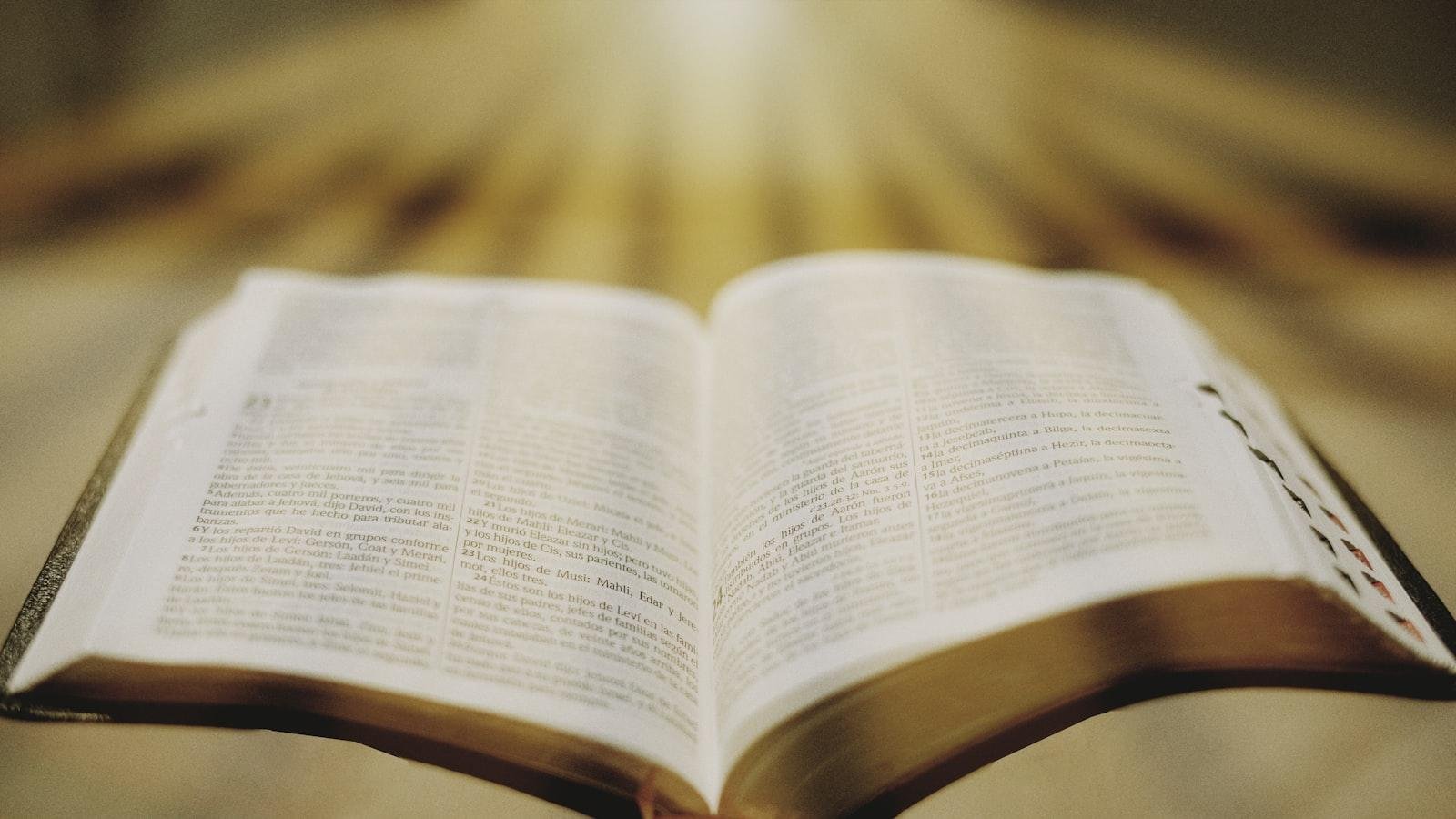 Navigating contradictions and interpretations in the Bible