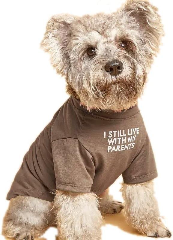 Ultimate Dog Apparel Roundup: Sweaters, Paw Wax, and Cute Tees!