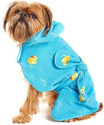 4 Must-Have Dog Apparel & Accessories for your Furry Friend!